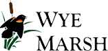 Wye Marsh
